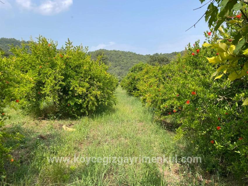 Ortaca Gökbel Mah. Satılık Tarla - Konut İmar Durumlu - 7.800 m²