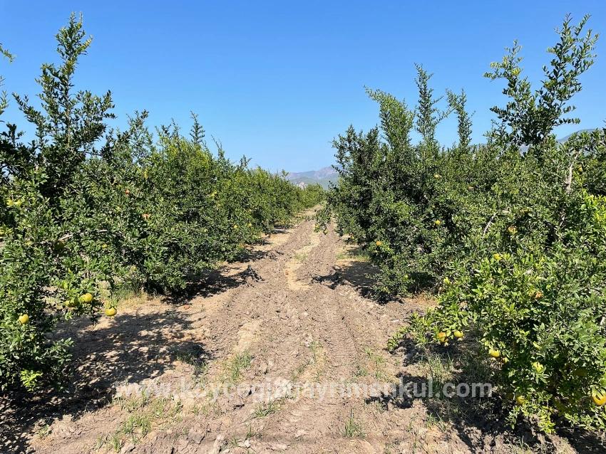 Ortaca Dalyan Mah. Satılık Tarla - Konut İmar Durumlu - 10.000 m²