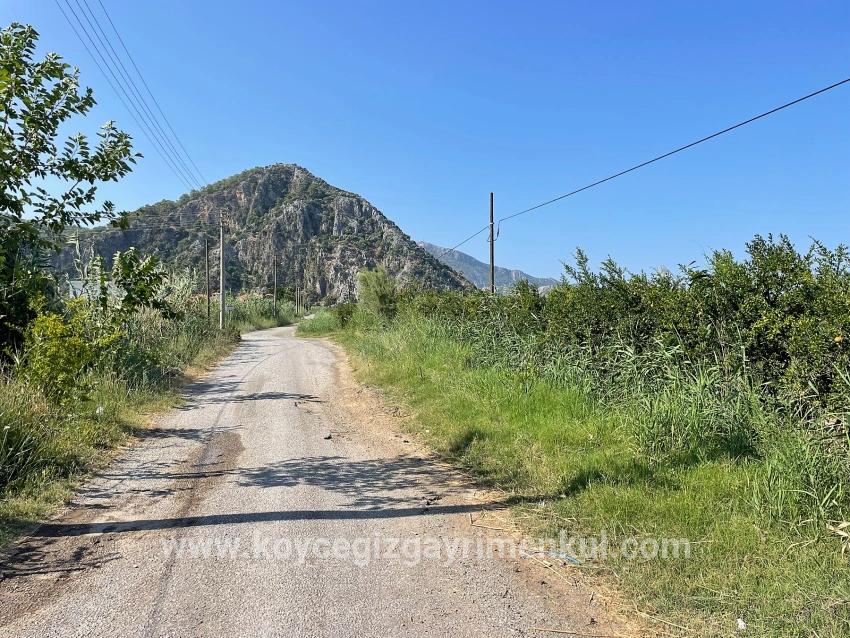 Ortaca Dalyan Mah. Satılık Tarla - Konut İmar Durumlu - 10.000 m²