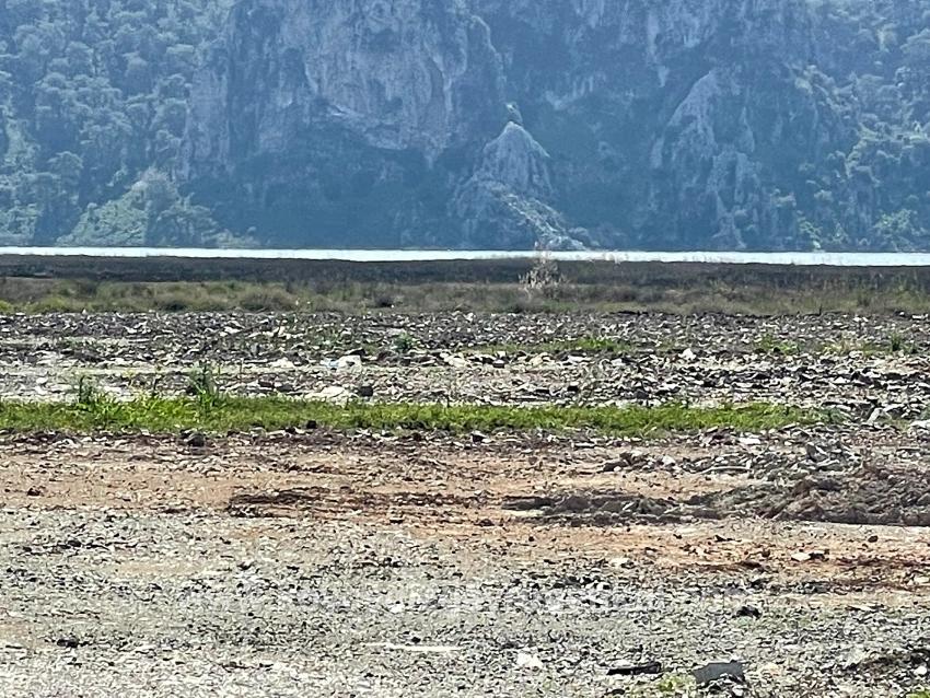 Ortaca Dalyan Mah. Satılık Tarla - Konut İmar Durumlu - 19.600 m²