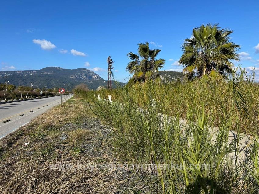 Ortaca Dalyan Mah. Satılık Arsa - Tercihli Alan İmar Durumlu - 5.111 m²