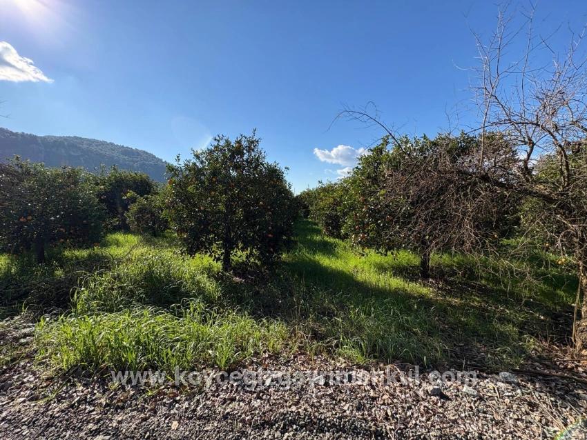 Ortaca Okçular Mah. Satılık Arsa - Konut İmar Durumlu - 4.326 m²