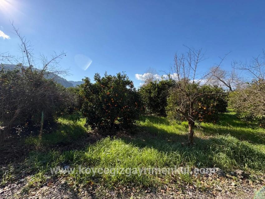 Ortaca Okçular Mah. Satılık Arsa - Konut İmar Durumlu - 4.326 m²