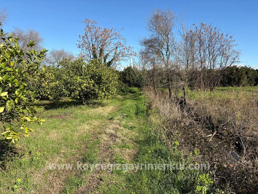 Ortaca Dalyan Mah. Satılık Tarla - Tarla İmar Durumlu - 16.500 m²