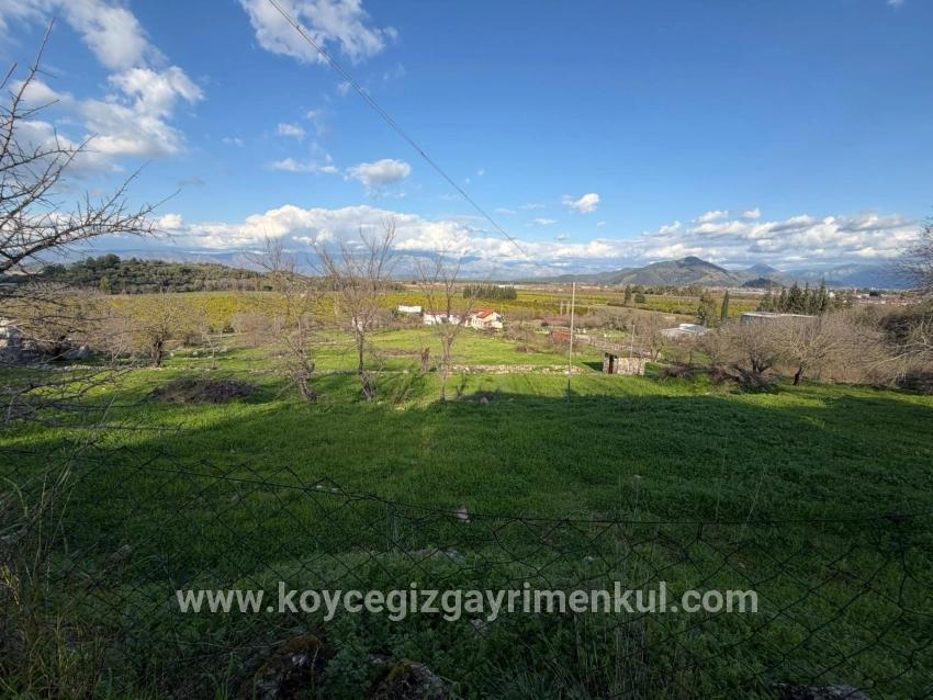 Ortaca Dalyan Mah. Satılık Tarla - Tarla İmar Durumlu - 11.230 m²