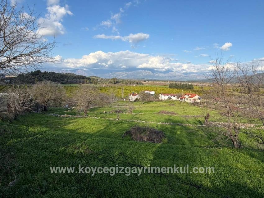 Ortaca Dalyan Mah. Satılık Tarla - Tarla İmar Durumlu - 11.230 m²