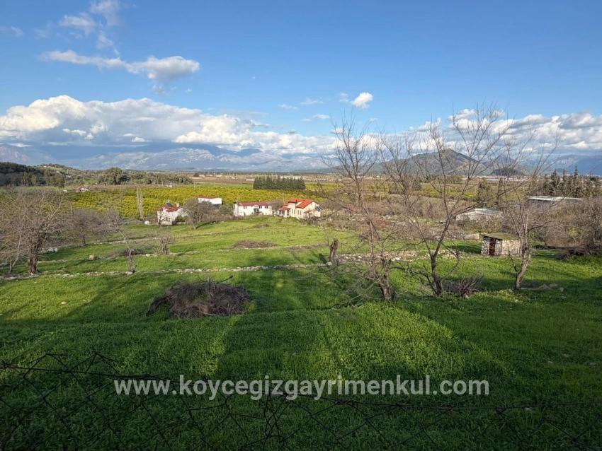 Ortaca Dalyan Mah. Satılık Tarla - Tarla İmar Durumlu - 11.230 m²