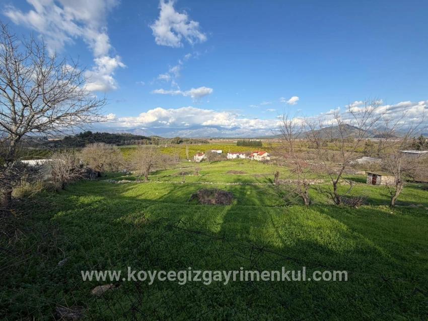Ortaca Dalyan Mah. Satılık Tarla - Tarla İmar Durumlu - 11.230 m²