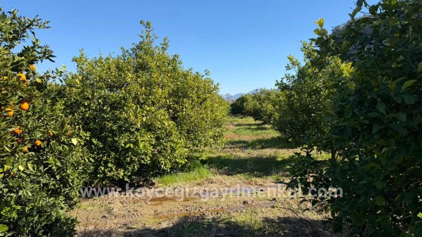 Ortaca Okçular Mah. Satılık Arsa - Konut İmar Durumlu - 2.218 m²