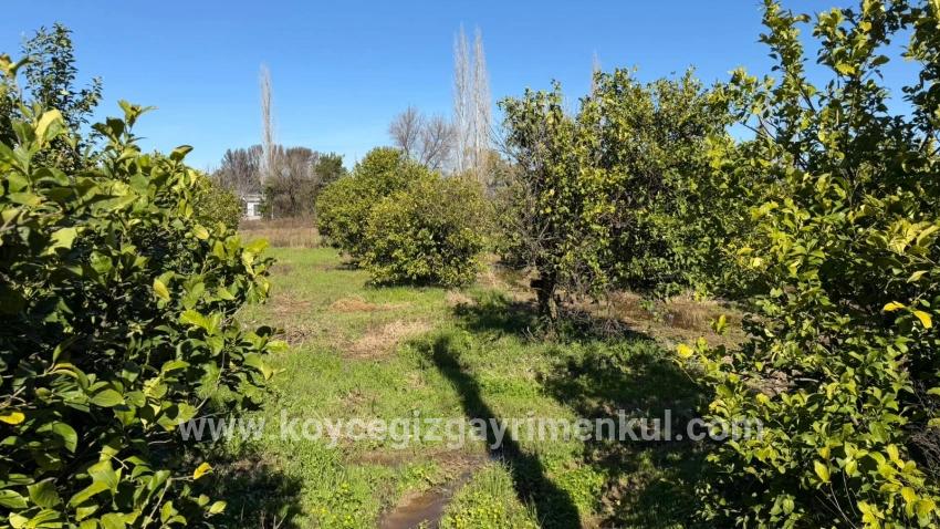 Ortaca Okçular Mah. Satılık Arsa - Konut İmar Durumlu - 2.218 m²
