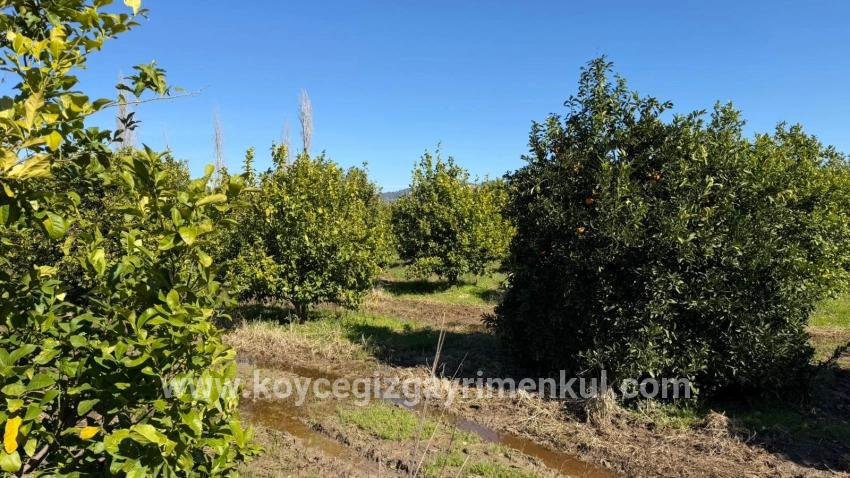 Ortaca Okçular Mah. Satılık Arsa - Konut İmar Durumlu - 2.218 m²