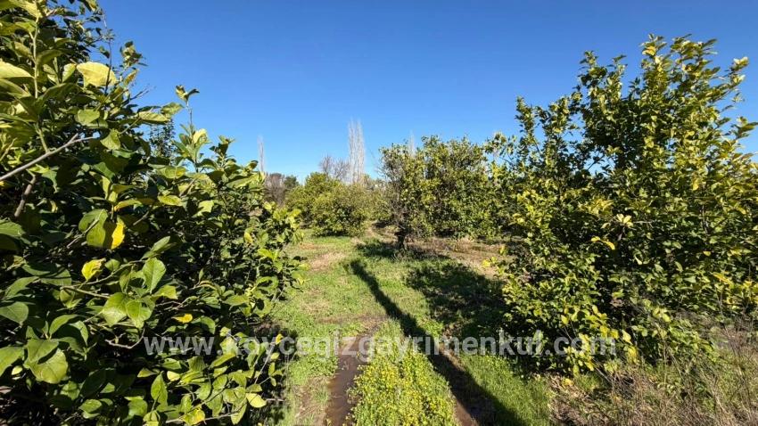 Ortaca Okçular Mah. Satılık Arsa - Konut İmar Durumlu - 2.218 m²