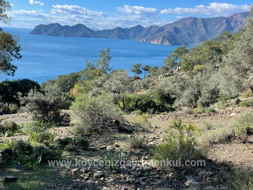 Köyceğiz Çandır Mah. Satılık Tarla - Tarla İmar Durumlu - 20.000 m²