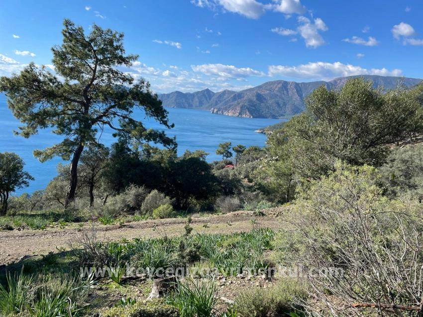 Köyceğiz Çandır Mah. Satılık Tarla - Tarla İmar Durumlu - 20.000 m²