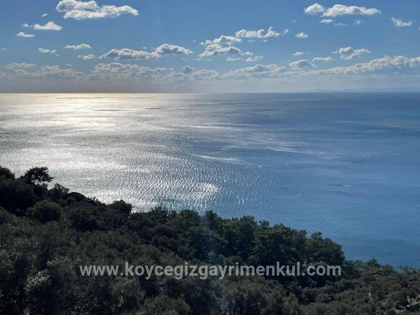 Köyceğiz Çandır Mah. Satılık Tarla - Tarla İmar Durumlu - 20.000 m²