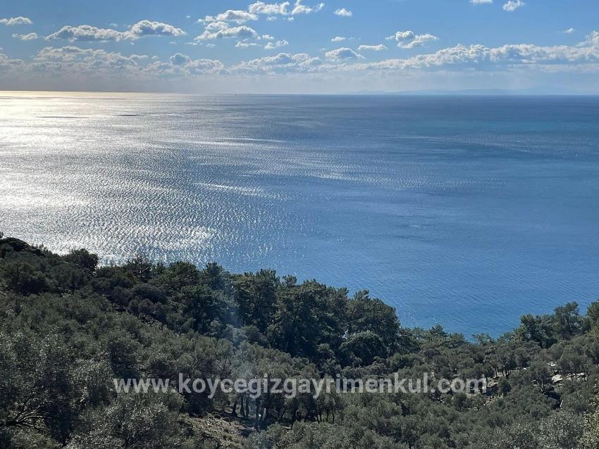 Köyceğiz Çandır Mah. Satılık Tarla - Tarla İmar Durumlu - 20.000 m²
