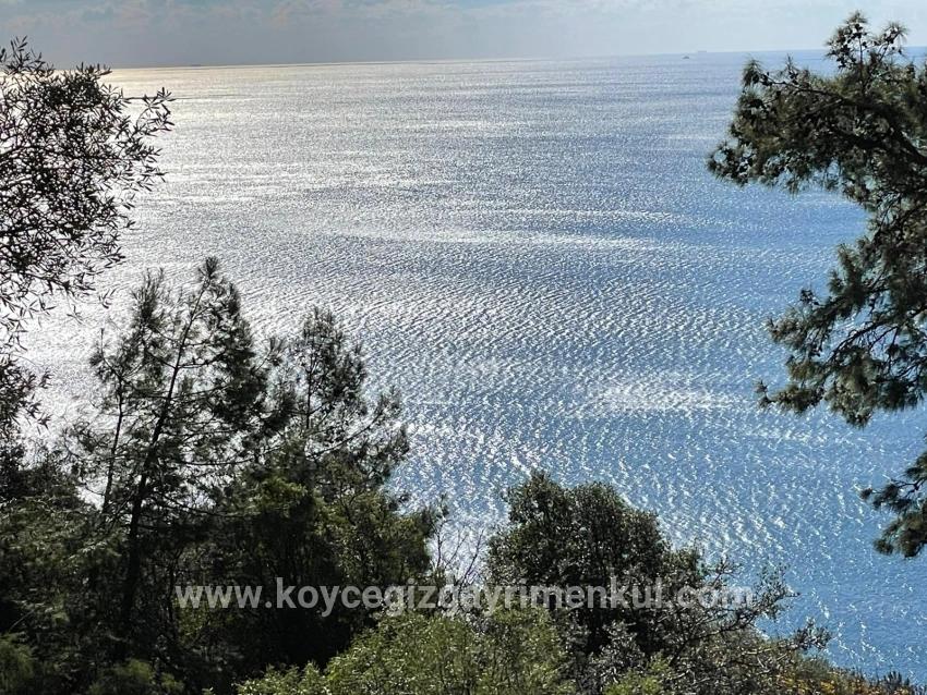 Köyceğiz Çandır Mah. Satılık Tarla - Tarla İmar Durumlu - 20.000 m²