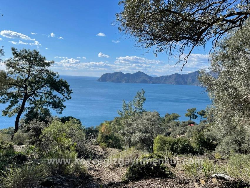 Köyceğiz Çandır Mah. Satılık Tarla - Tarla İmar Durumlu - 20.000 m²