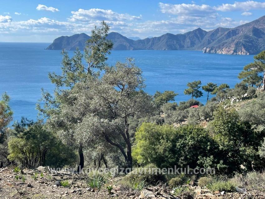 Köyceğiz Çandır Mah. Satılık Tarla - Tarla İmar Durumlu - 20.000 m²