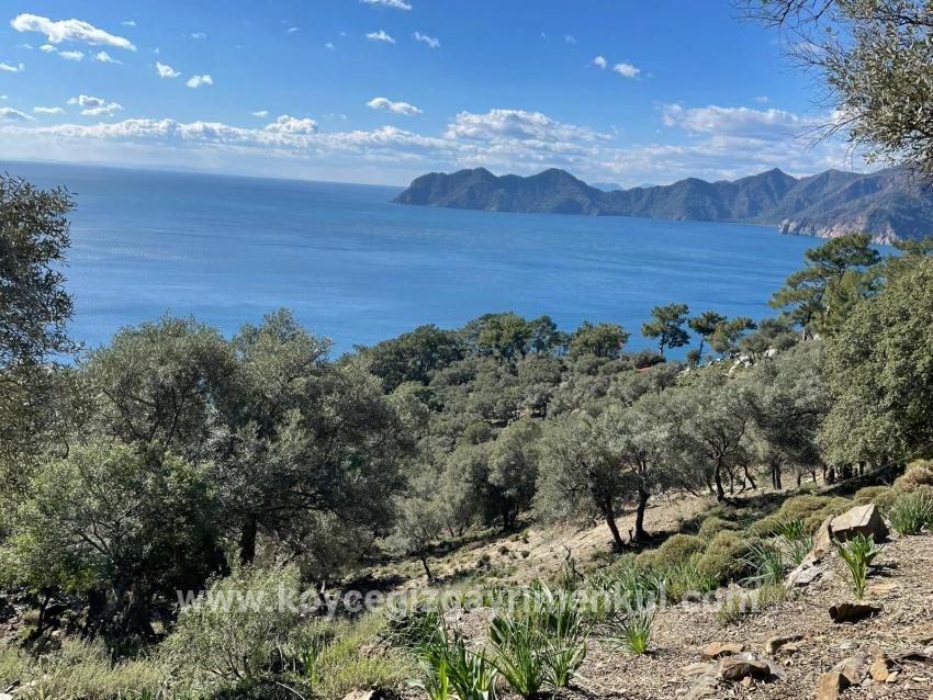 Köyceğiz Çandır Mah. Satılık Tarla - Tarla İmar Durumlu - 20.000 m²