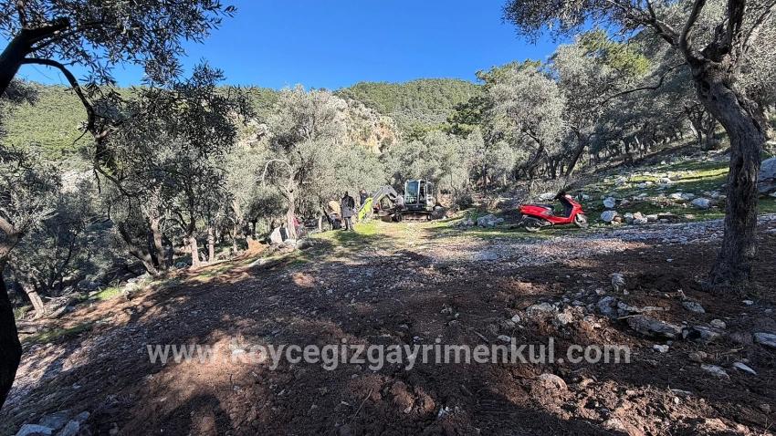 Köyceğiz Çandır Mah. Satılık Tarla - Konut İmar Durumlu - 5.715 m²