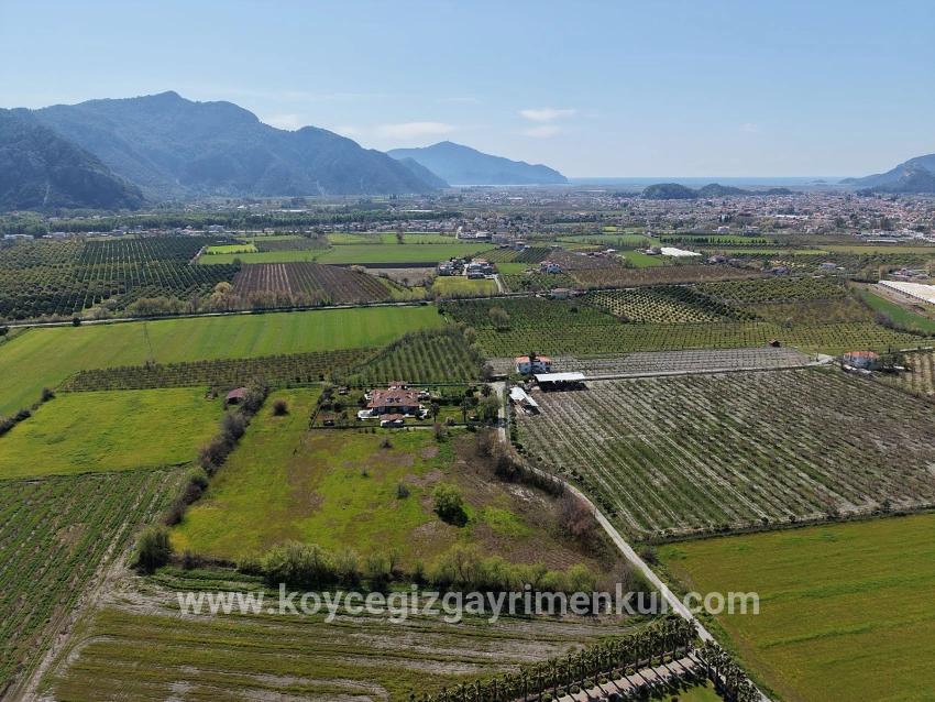 Ortaca Dalyan Mah. Satılık Bağ & Bahçe - Bağ & Bahçe İmar Durumlu - 17.550 m²