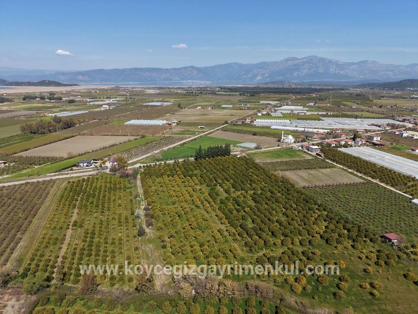 Ortaca Dalyan Mah. Satılık Bağ & Bahçe - Bağ & Bahçe İmar Durumlu - 17.550 m²