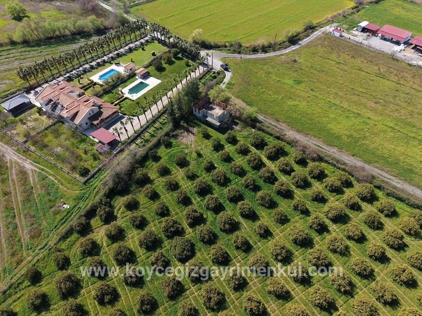 Ortaca Dalyan Mah. Satılık Bağ & Bahçe - Bağ & Bahçe İmar Durumlu - 17.550 m²