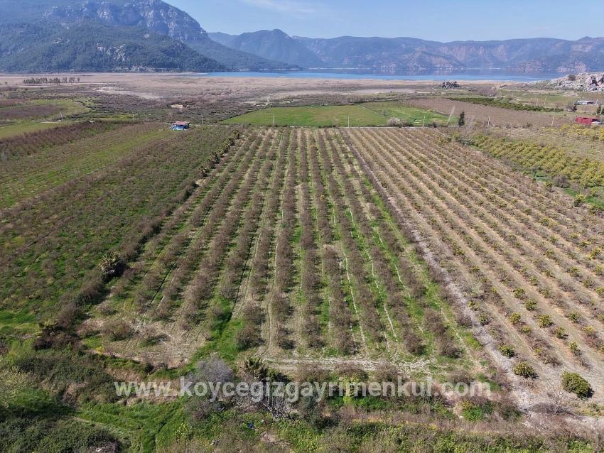 Ortaca Eskiköy Mah. Satılık Tarla - Tarla İmar Durumlu - 16.710 m²