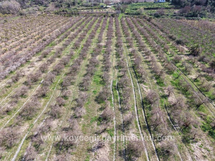 Ortaca Eskiköy Mah. Satılık Tarla - Tarla İmar Durumlu - 16.710 m²