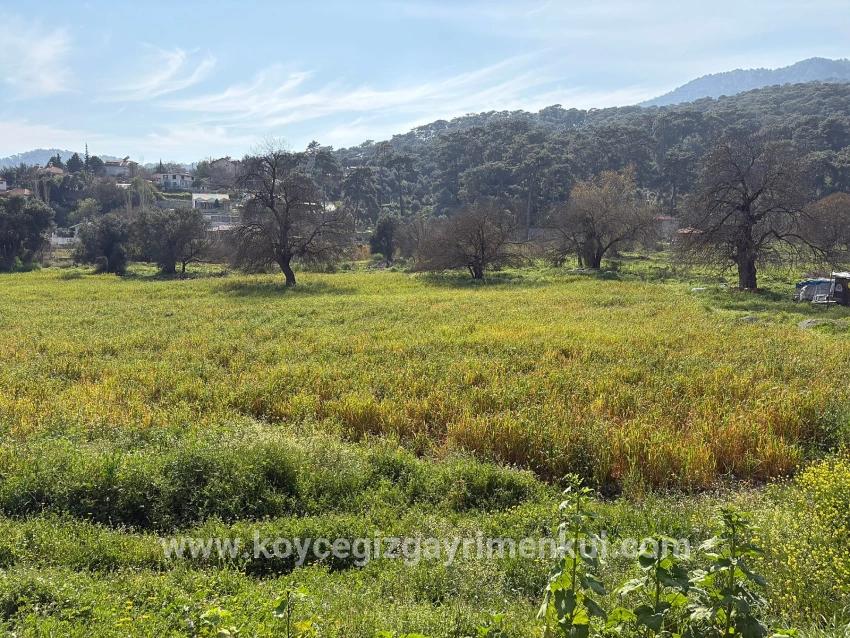 Köyceğiz Çandır Mah. Satılık Tarla - Konut İmar Durumlu - 2.023 m²