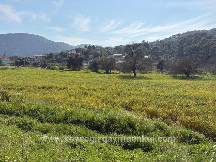 Köyceğiz Çandır Mah. Satılık Tarla - Konut İmar Durumlu - 2.023 m²
