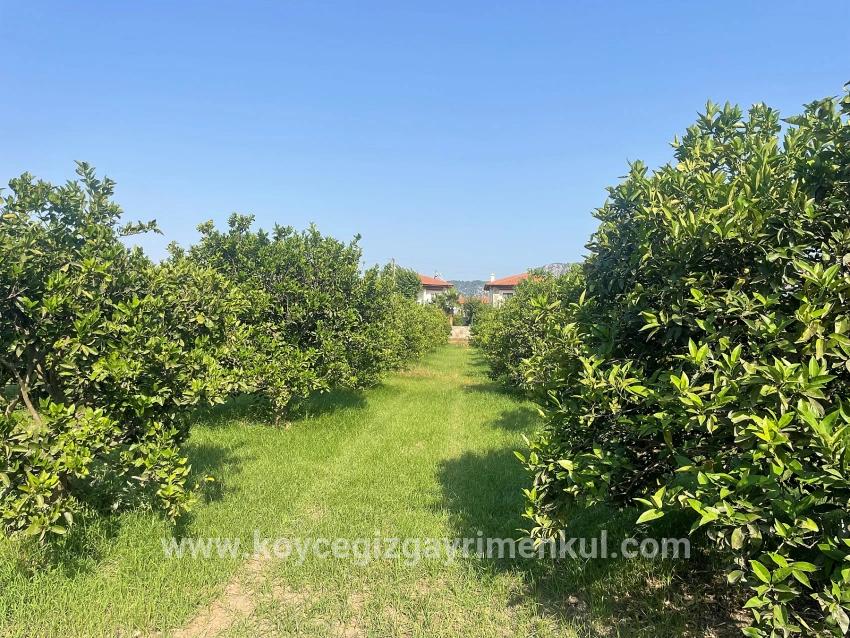 Ortaca Dalyan Mah. Satılık Arsa - Konut İmar Durumlu - 722 m²