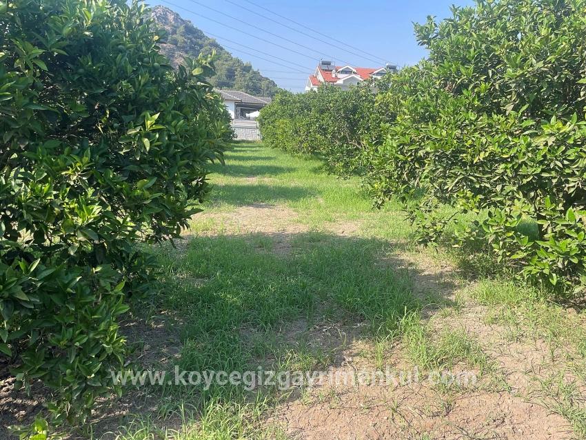 Ortaca Dalyan Mah. Satılık Arsa - Konut İmar Durumlu - 722 m²