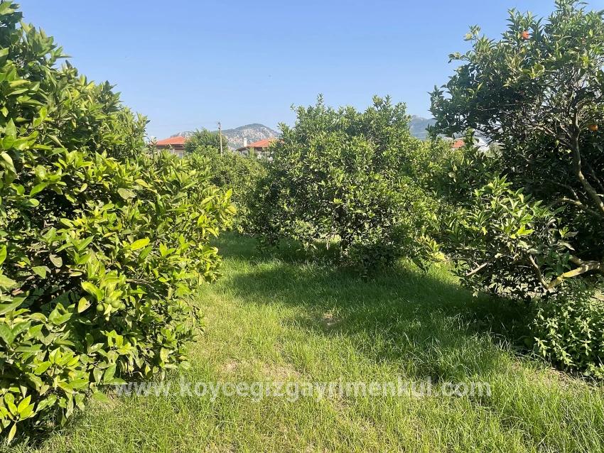 Ortaca Dalyan Mah. Satılık Arsa - Konut İmar Durumlu - 722 m²