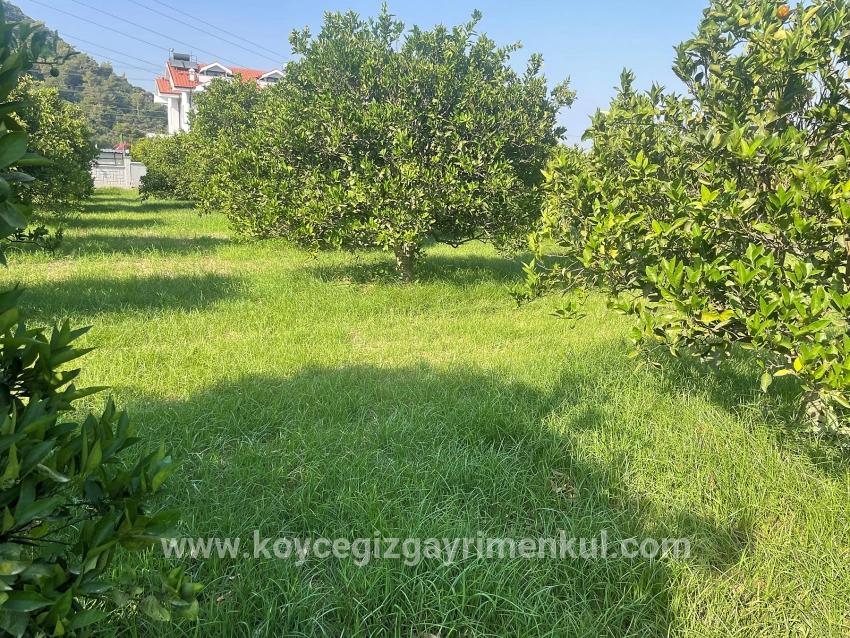 Ortaca Dalyan Mah. Satılık Arsa - Konut İmar Durumlu - 722 m²