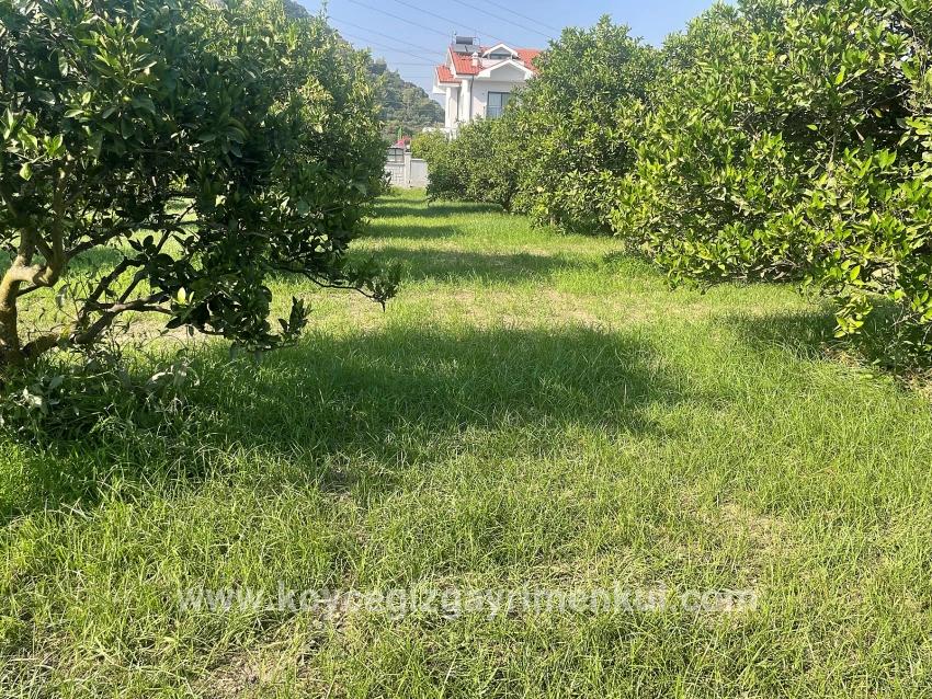 Ortaca Dalyan Mah. Satılık Arsa - Konut İmar Durumlu - 722 m²
