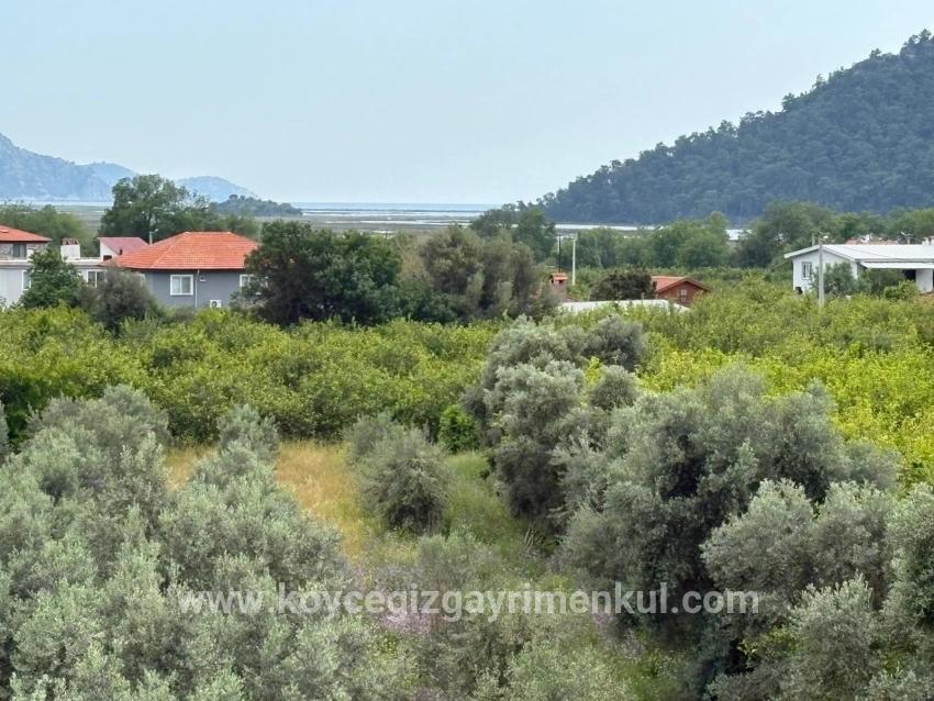Köyceğiz Çandır Mah. Satılık Tarla - Tarla İmar Durumlu - 1.721 m²