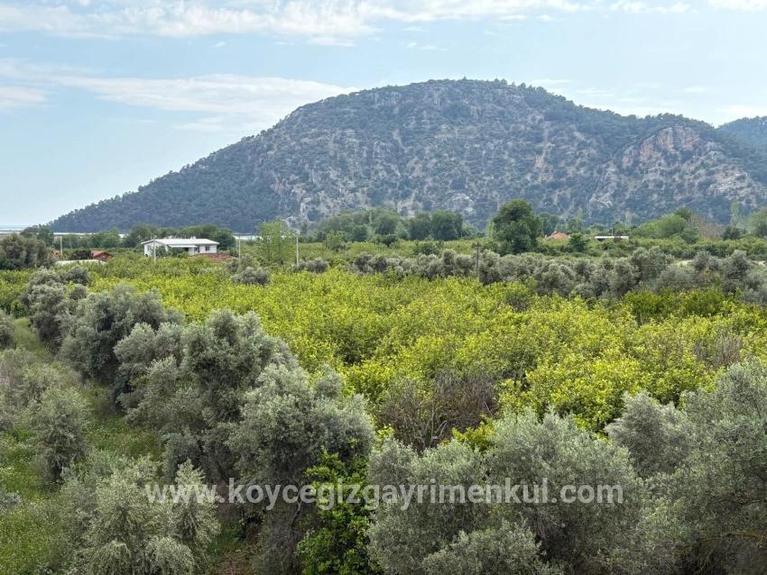 Köyceğiz Çandır Mah. Satılık Tarla - Tarla İmar Durumlu - 1.721 m²
