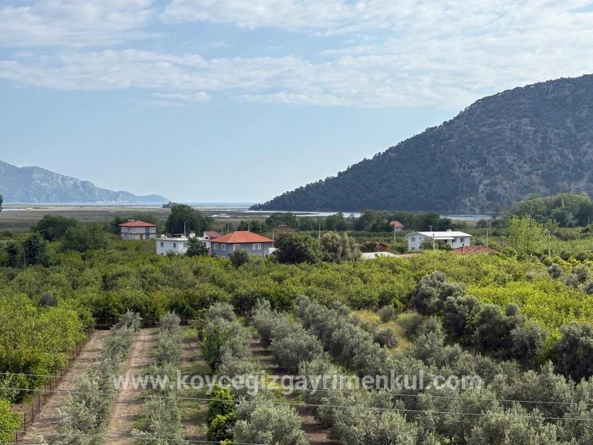 Köyceğiz Çandır Mah. Satılık Tarla - Tarla İmar Durumlu - 1.721 m²