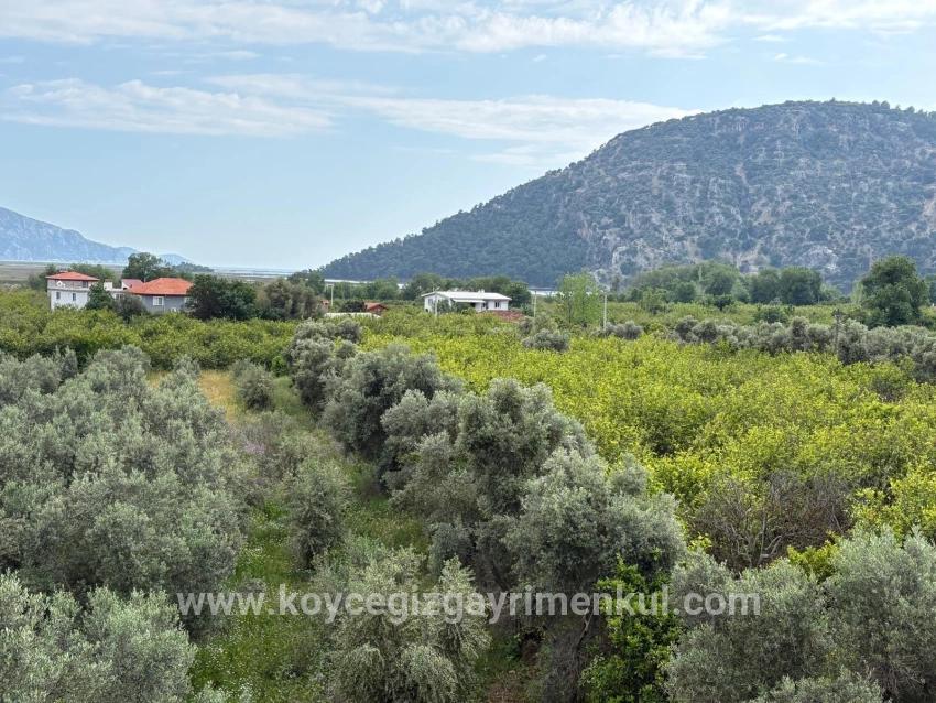 Köyceğiz Çandır Mah. Satılık Tarla - Tarla İmar Durumlu - 1.721 m²