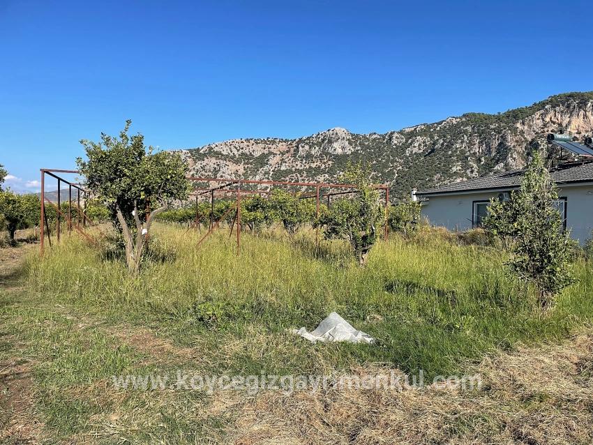 Ortaca Dalyan Mah. Satılık Tarla - Tarla İmar Durumlu - 6.600 m²