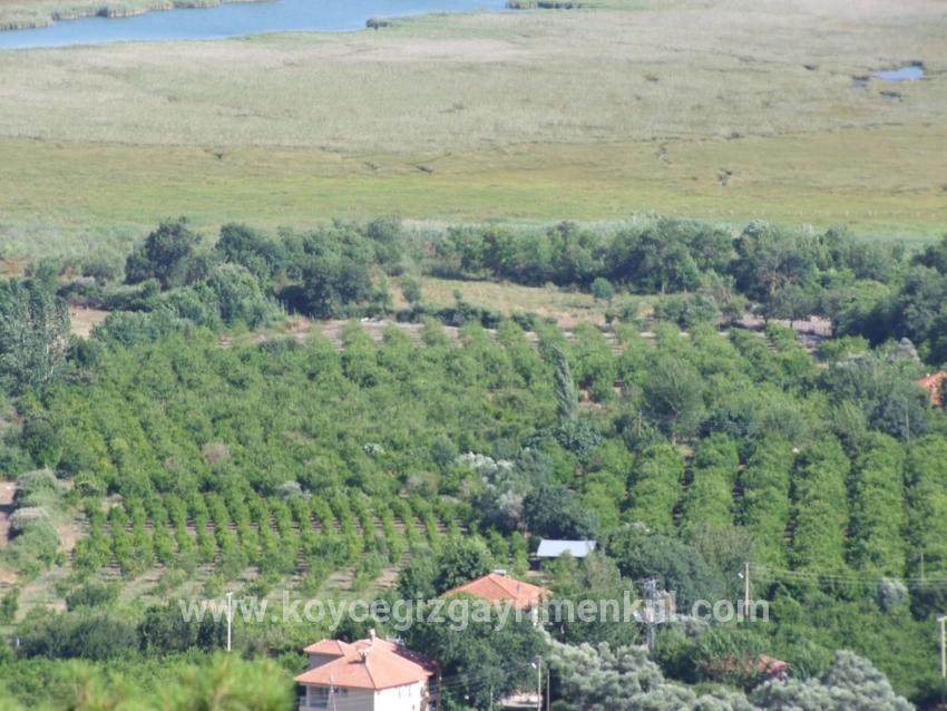 Köyceğiz Çandır Mah. Satılık Tarla - Tarla İmar Durumlu - 1.252 m²