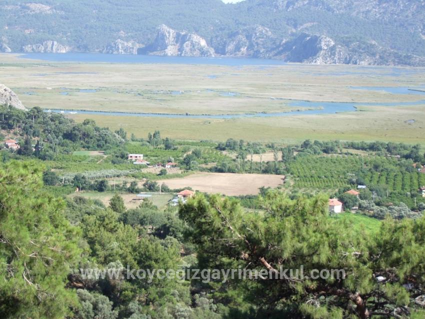 Köyceğiz Çandır Mah. Satılık Tarla - Tarla İmar Durumlu - 1.252 m²