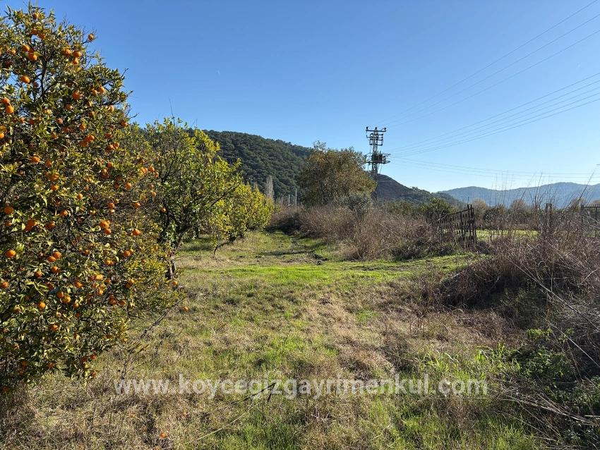 Ortaca Tepearası Mah. Satılık Tarla - Bağ & Bahçe İmar Durumlu - 23.000 m²