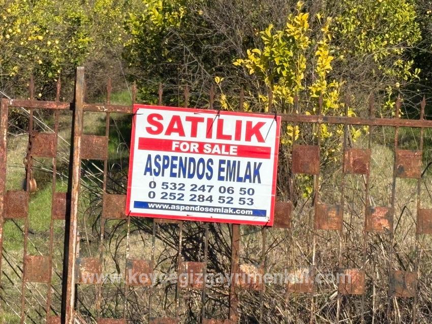 Ortaca Tepearası Mah. Satılık Tarla - Bağ & Bahçe İmar Durumlu - 23.000 m²