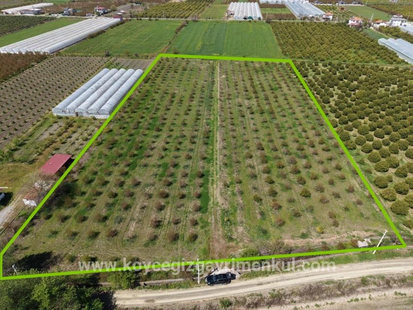 Ortaca Eskiköy Mah. Satılık Tarla - Tarla İmar Durumlu - 16.000 m²