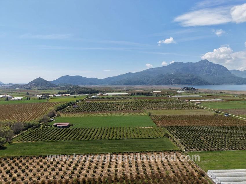 Ortaca Eskiköy Mah. Satılık Tarla - Tarla İmar Durumlu - 16.000 m²