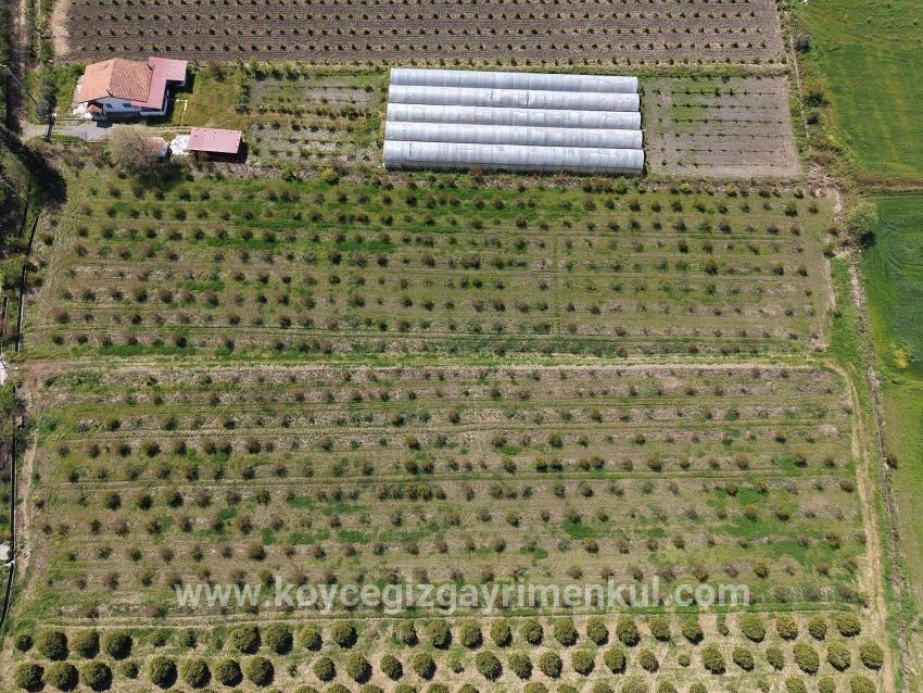 Ortaca Eskiköy Mah. Satılık Tarla - Tarla İmar Durumlu - 16.000 m²