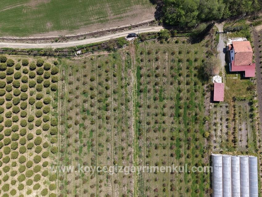 Ortaca Eskiköy Mah. Satılık Tarla - Tarla İmar Durumlu - 16.000 m²